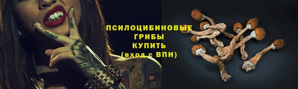 не бодяженный Алексин