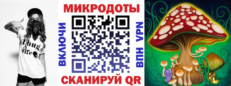наркошоп  Змеиногорск  Псилоцибиновые грибы Psilocybine cubensis 